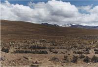 arequipa1-tn.jpg (5915 bytes)