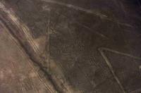 nazca1-tn.jpg (3897 bytes)