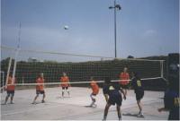 volleybal2-tn.jpg (4644 bytes)