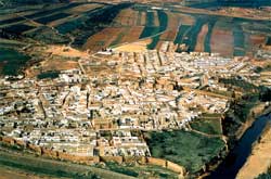 Nerva