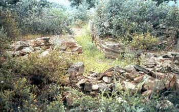 Tholo de la Zarcita. (Santa B&aacute;rbara de Casa)