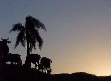 Parque Fazenda Santa Rosa