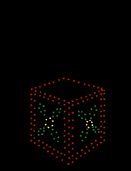 Please wait for image to load