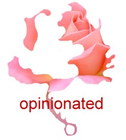 The Opinionated Santa Sprees