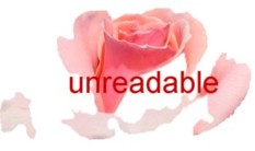 The Unreadable Santa Sprees
