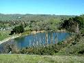 Santa Teresa Golf Course Pond From the Ohlone Trail