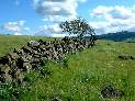 Rock Wall on the Rocky Ridge Trail