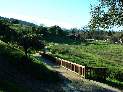 Field by Santa Teresa Springs