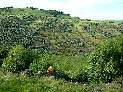 Stile Ranch Trail Switchbacks