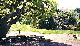 Group picnic site