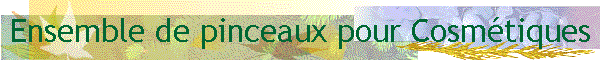 Ensemble de pinceaux pour Cosm�tiques
