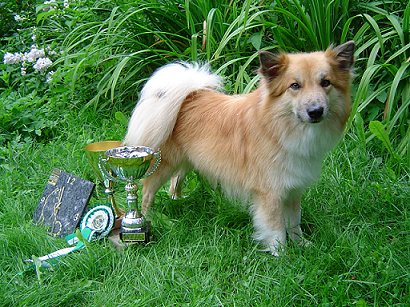 Topi and his prizes of Special Show