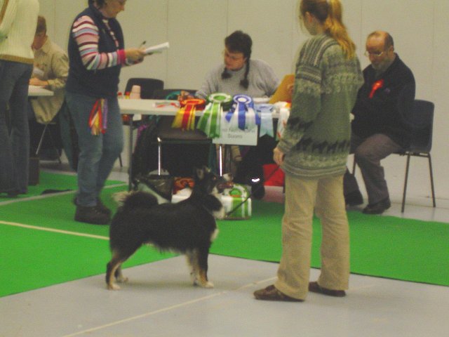 Hukka & Sanna in the ring, Hukka's first show
