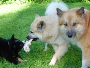 All three together