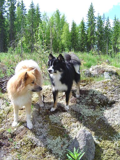 Topi & Hukka on summer 05