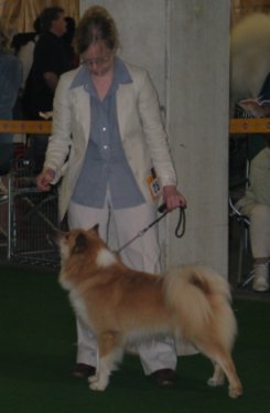 Topi in World Winner show