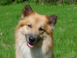 Topi smiling