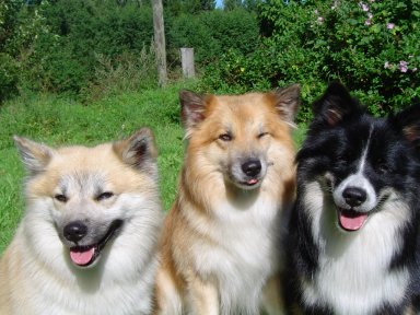 Boys on summer 05