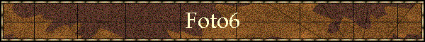 Foto6