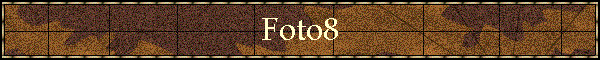 Foto8