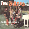 hello.jpg (11896 bytes)