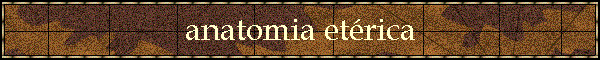 anatomia et�rica