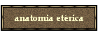 anatomia et�rica