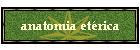 anatomia et�rica