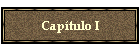 Cap�tulo I