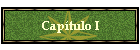 Cap�tulo I