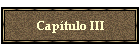 Cap�tulo III
