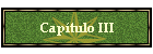 Cap�tulo III