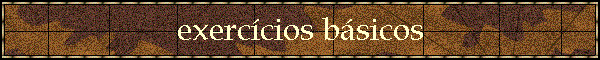 exerc�cios b�sicos