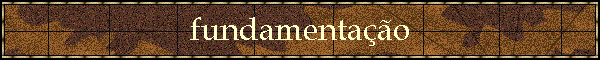 fundamenta��o