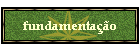 fundamenta��o