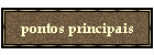 pontos principais