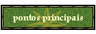 pontos principais