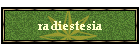 radiestesia
