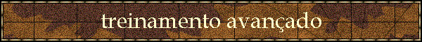 treinamento avan�ado