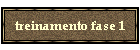treinamento fase 1