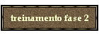 treinamento fase 2