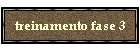 treinamento fase 3