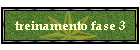 treinamento fase 3