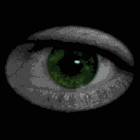 a large eyeball