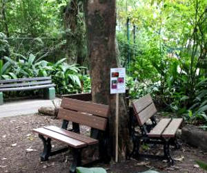 Santos brazil orquidario park