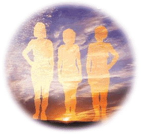The Silent Wtness Program Website