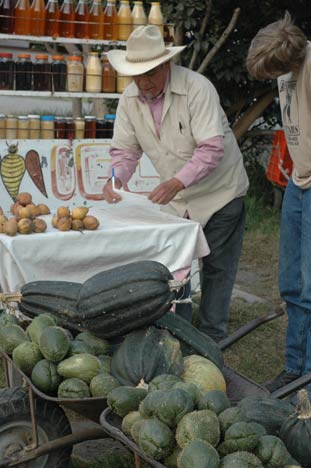 CriollaSquash.jpg!