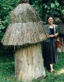BEEHIVE ON STUMP THATCHED!