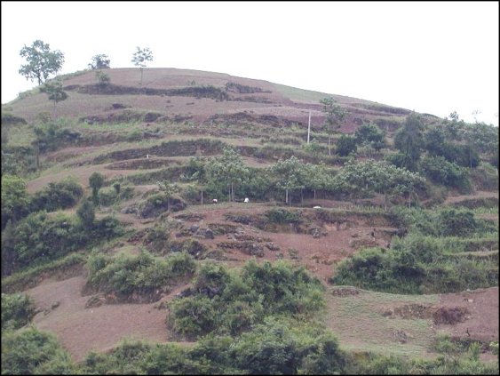 CHINESE TERACED GARDEN FARMS(PLANTS AND MOSTLY SEEDS PLANTED<BR>10-12 INCHES-30CM DEEP ON<BR>SANDY GRAVEL SLOPES,MORAINS,ANCIENT CRUSHED HILLS GROW REMARKABLY WELL<BR> JUST BY PLANTING EARLY!<BR> SOLOMAN THE KING SAID WHOMSOEVER TILLS THE SOIL WILL HAVE PLENTY TO EAT!)