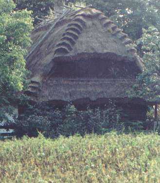 THATCHED BARN!